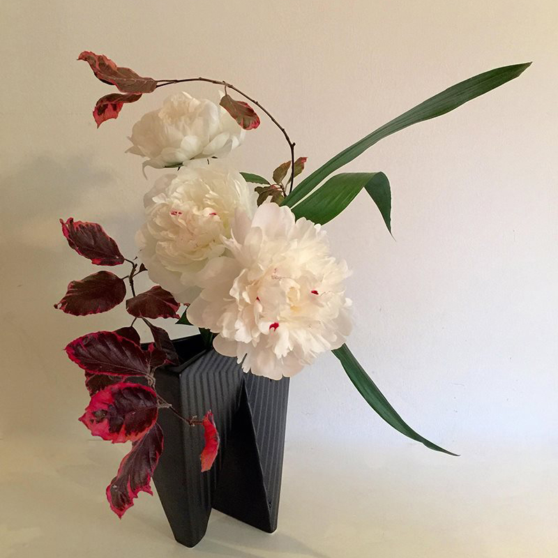 31631917_10214019016263736_5374510976571801600_n