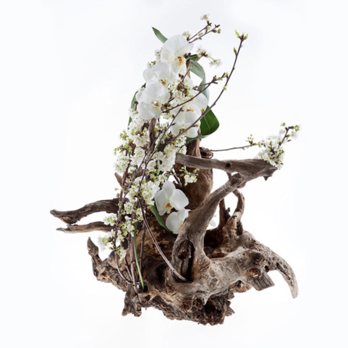 Schermata 2019-12-18 alle 12.09.39