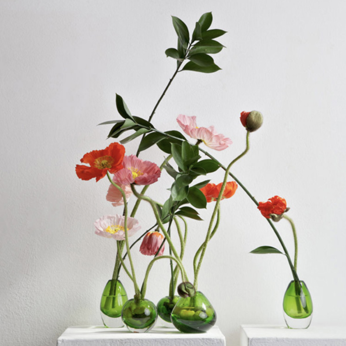 Schermata 2019-12-18 alle 12.09.49