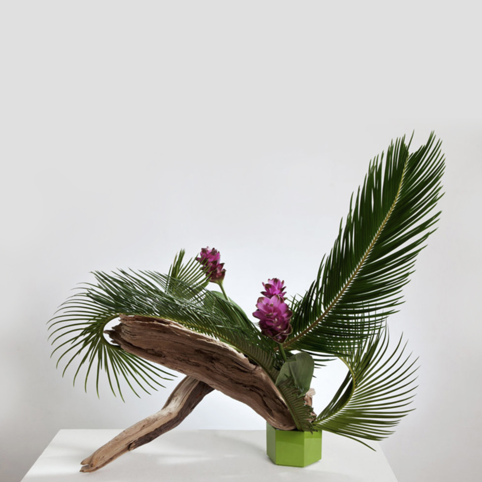 Schermata 2019-12-18 alle 12.10.16