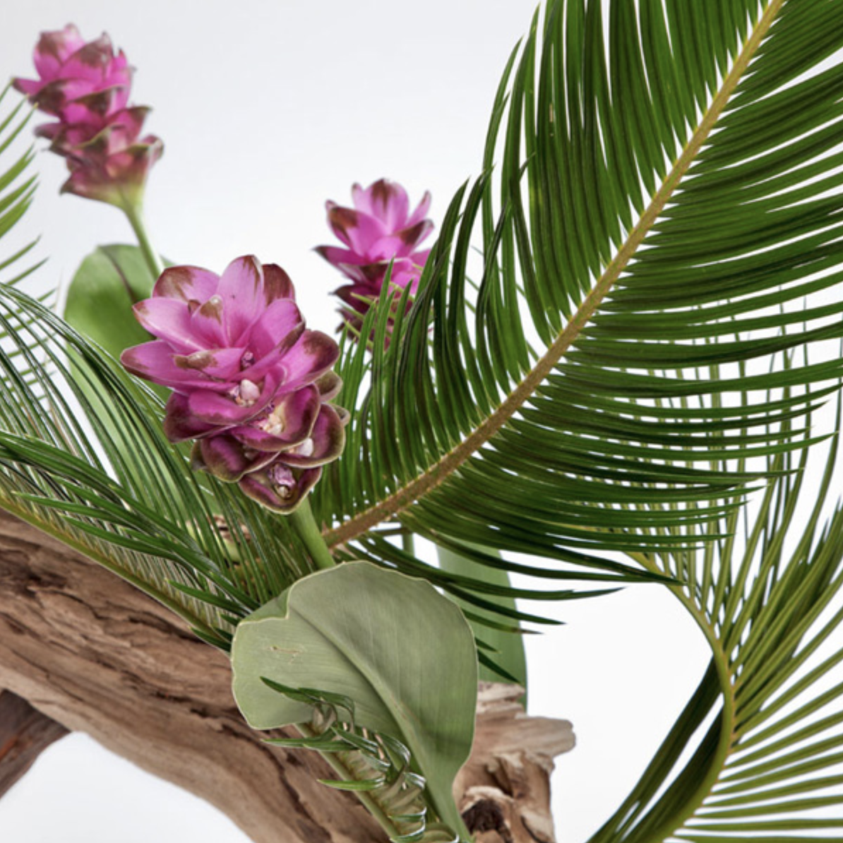 Schermata 2019-12-18 alle 12.18.46