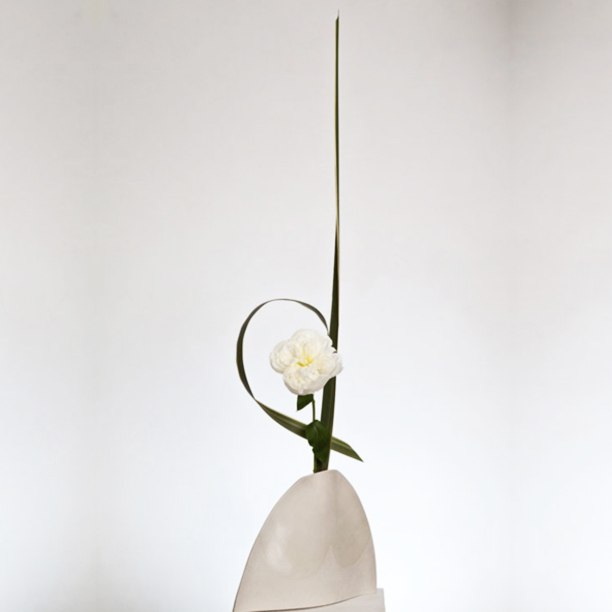 Schermata 2019-12-18 alle 12.18.57