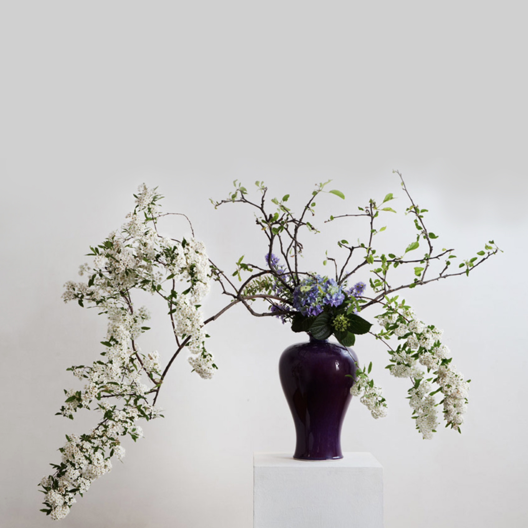 Schermata 2019-12-18 alle 12.19.07