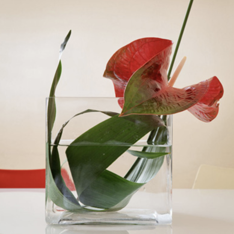 Schermata 2019-12-18 alle 12.19.34