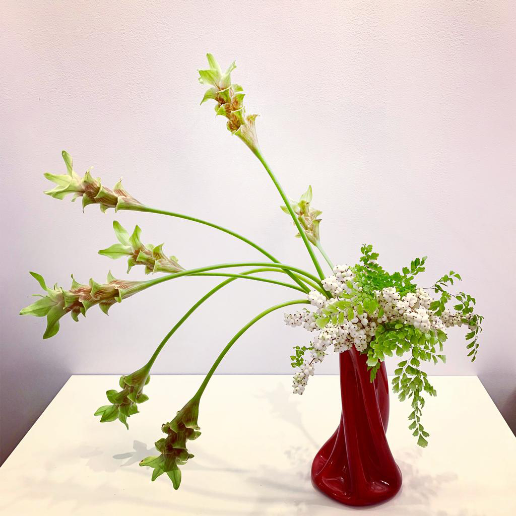 WhatsApp Image 2020-01-17 at 12.43.25