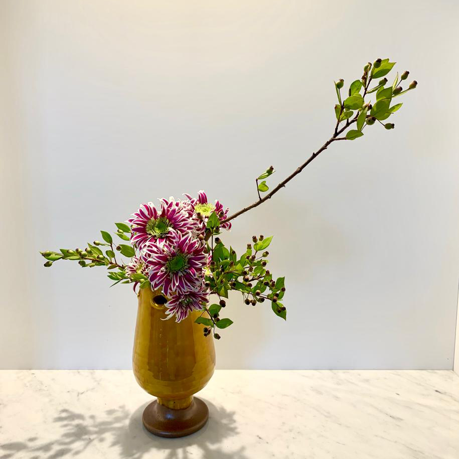 WhatsApp Image 2020-01-17 at 12.43.54