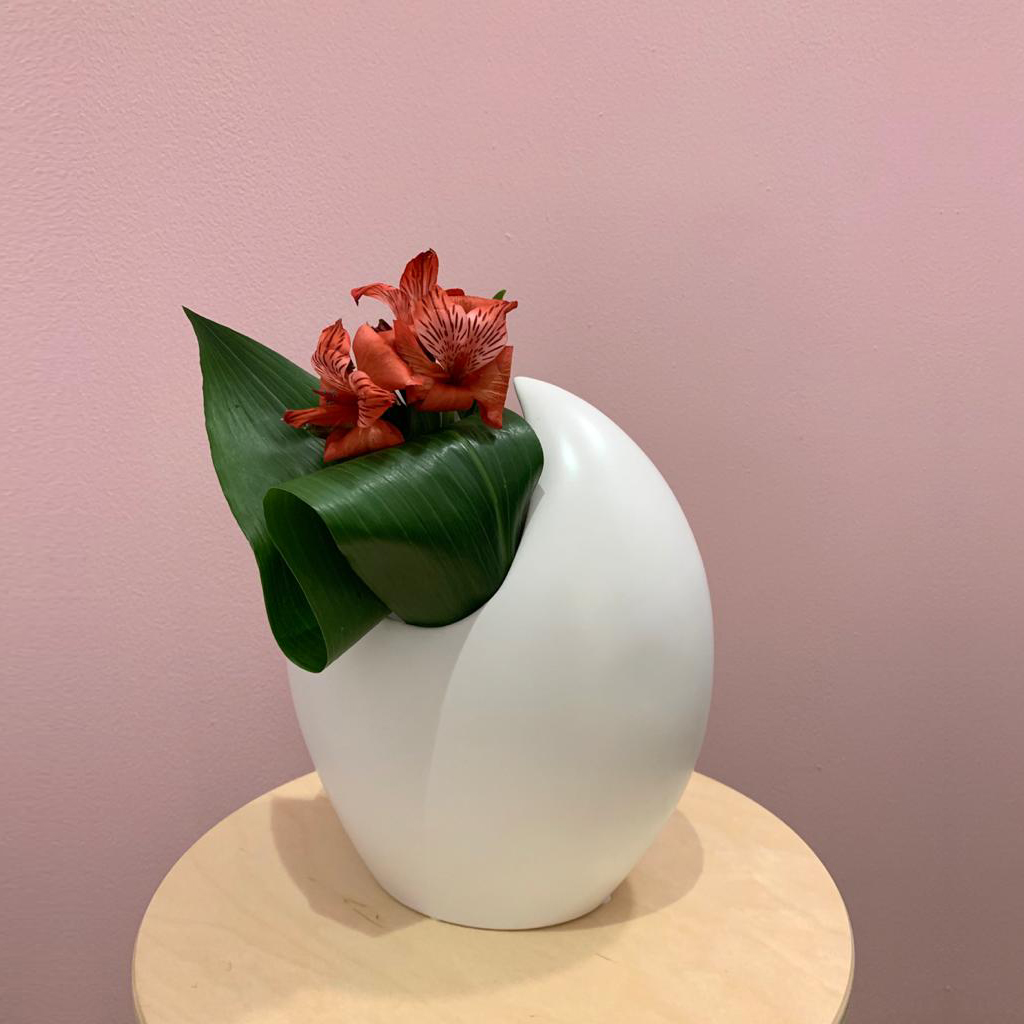 WhatsApp Image 2020-01-17 at 12.44.46