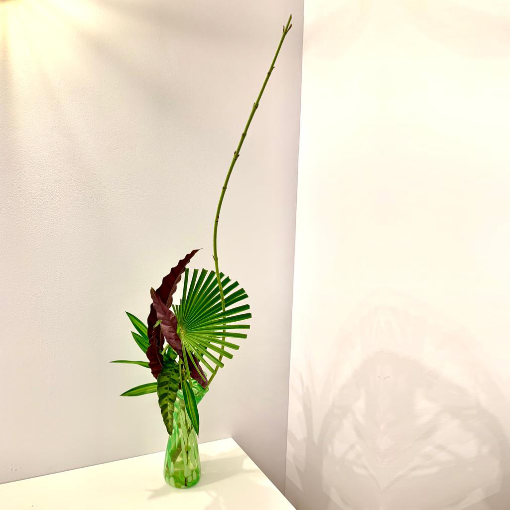 WhatsApp Image 2020-01-17 at 12.48.50