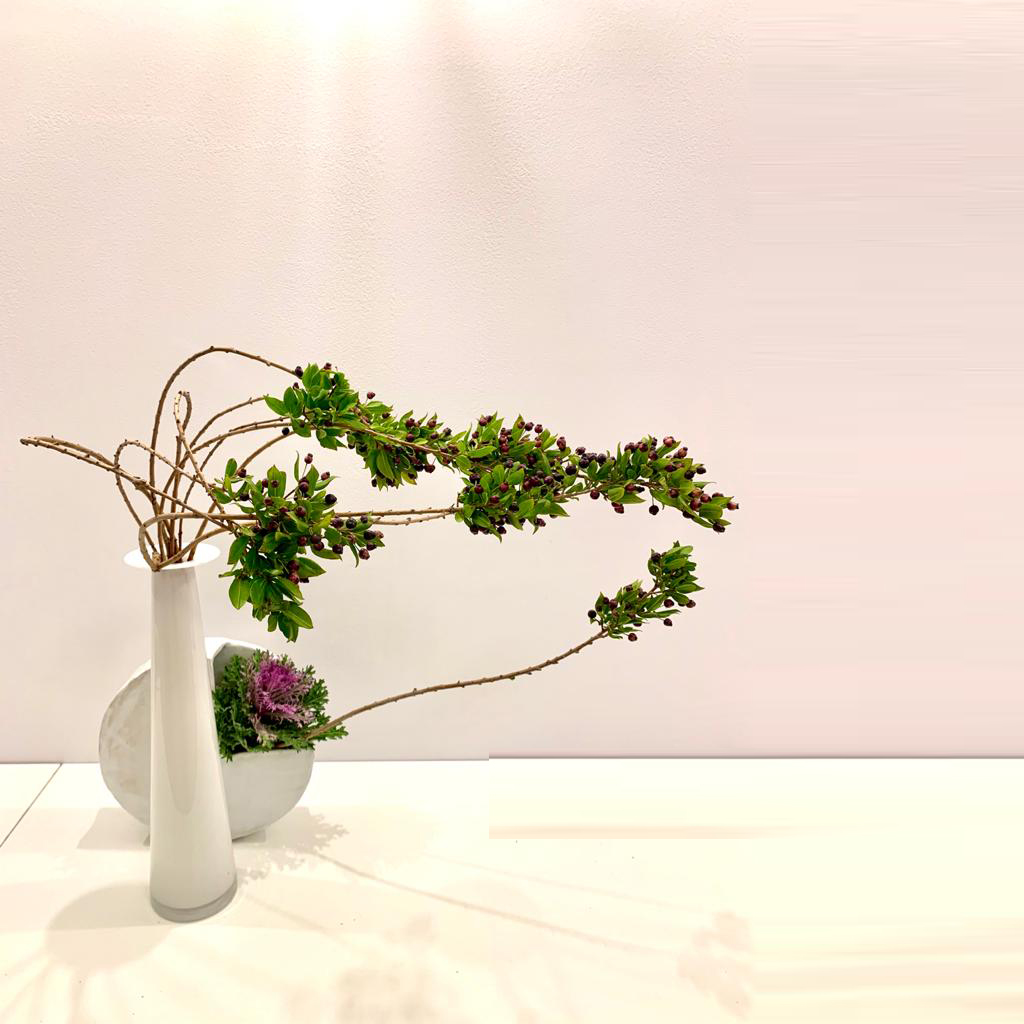 WhatsApp Image 2020-01-17 at 12.49.18