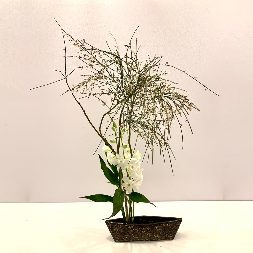 WhatsApp Image 2020-01-17 at 12.51.58